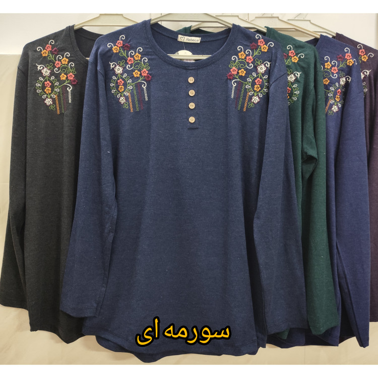 بلوززنانه مجلسی