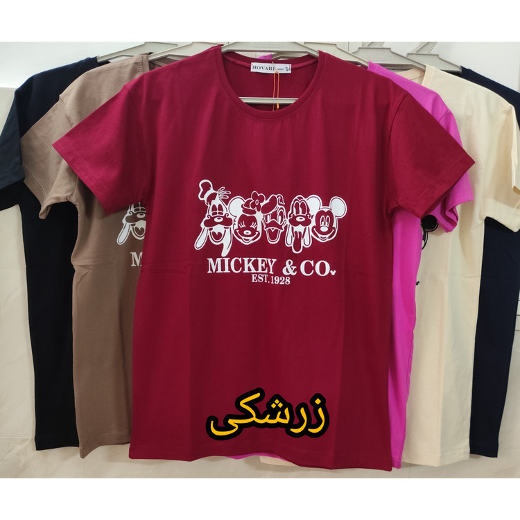 خرید تیشرت دخترانه یقه گرد جنس نخ پنبه سایز زیر نانه 70